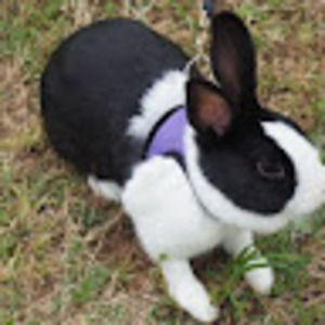 Meet your Posher, Kari